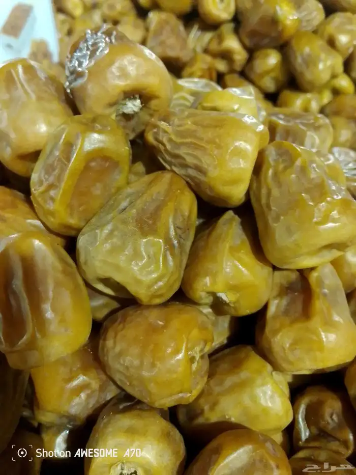 سكري مفتل وكذلك جلكسي فاخر 2