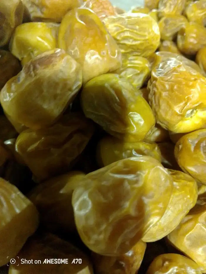 سكري مفتل وكذلك جلكسي فاخر 3