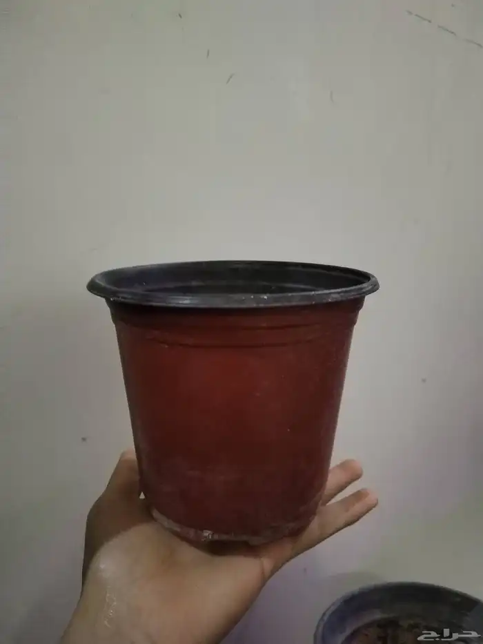 مستلزمات طيور وحيوانات وزراعة 7