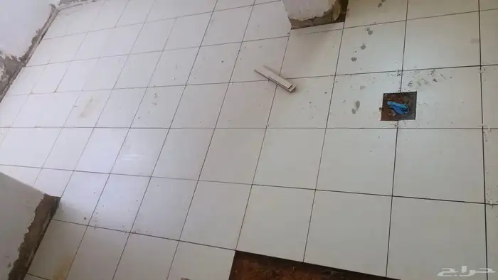 مبلط بلاط  شاني عبدالمجيد مبلط 0