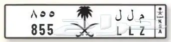 لوحة مميزة مميزة مميزة للبيع 3