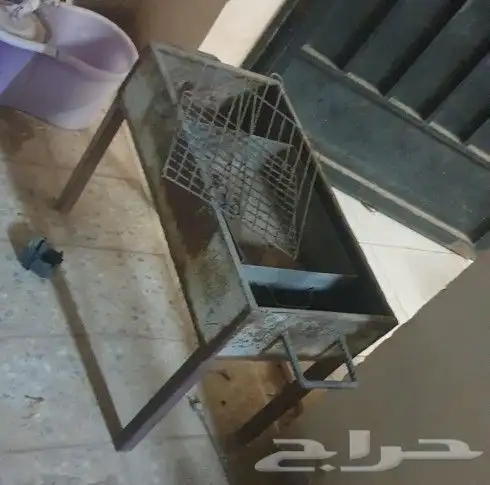 غرفه نوم واطفال ومجلس وكارسيت وشوايه 18