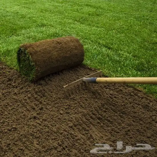 تنسيق حدائق 11