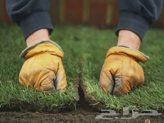 تنسيق حدائق 14