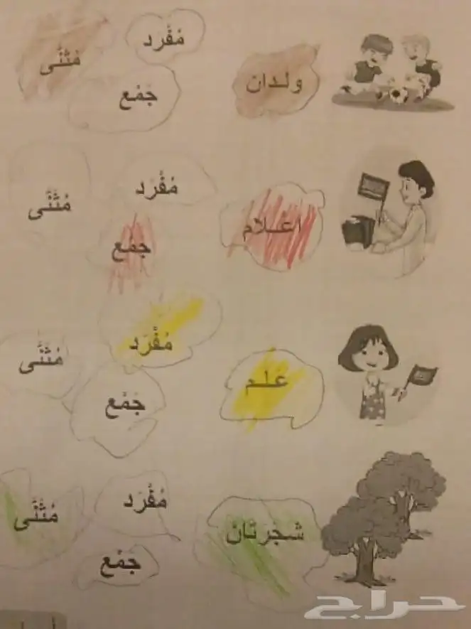 تأسيس لغة عربية وتدريب قدرات 1
