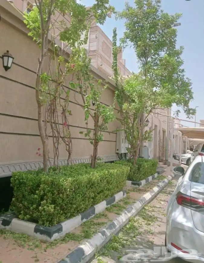 قص وتزيين اجدار 4