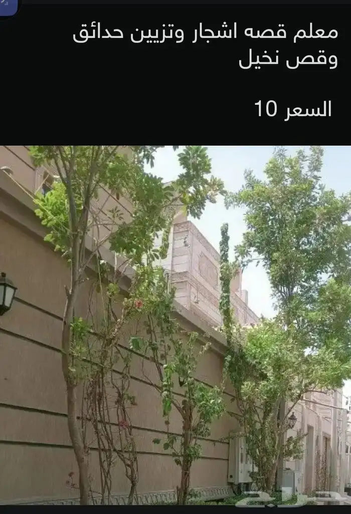قص وتزيين اجدار 0