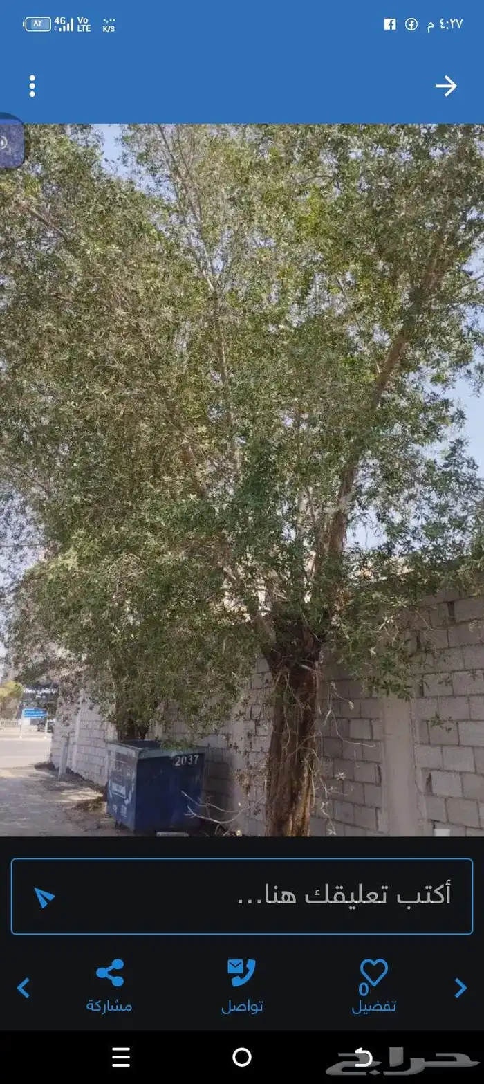 قص وتزيين اجدار 1