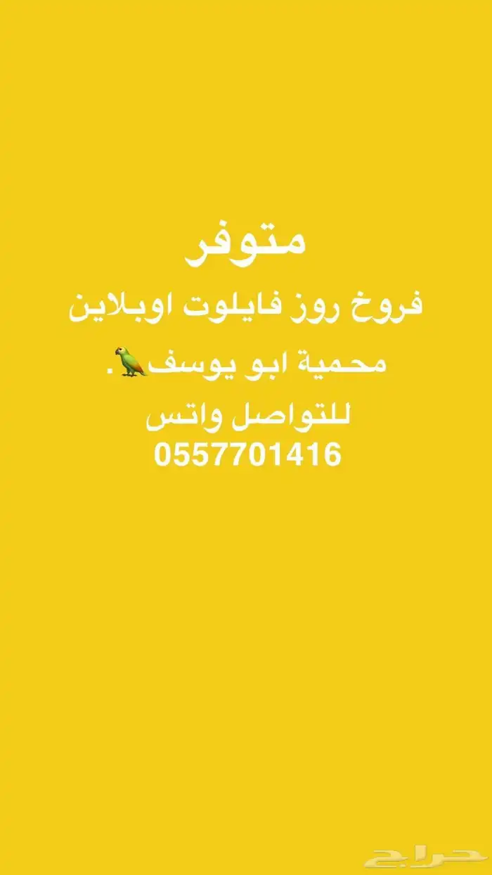 روز 0