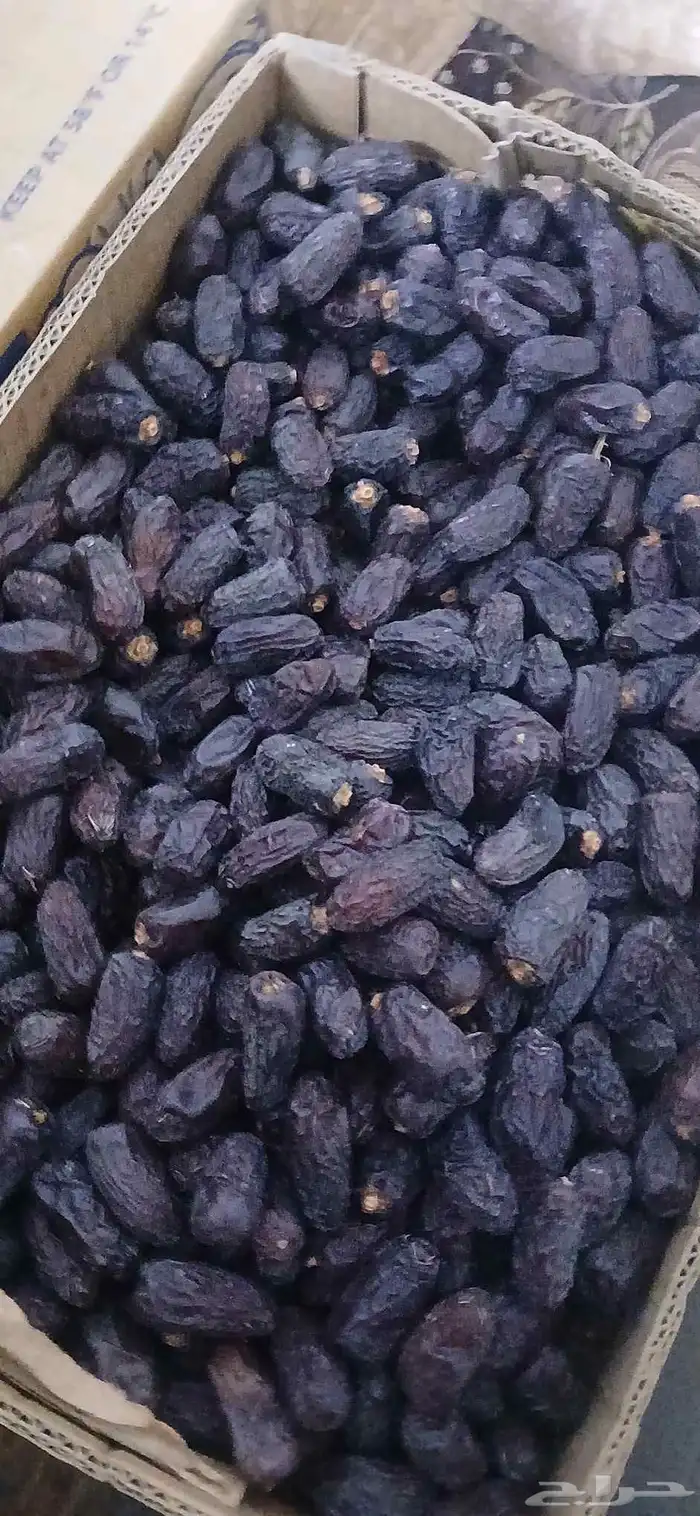 تمر عجوه وصفاوي 4