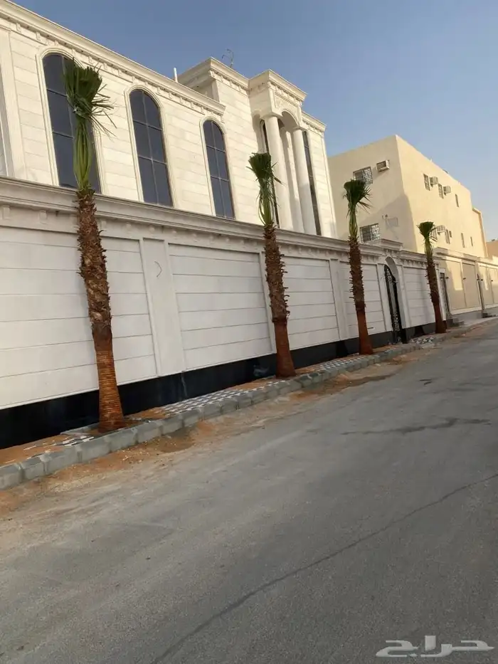 لبيع انخل الواشنطن لبيع نخيل الواشنطن لبيع نخيل الواشنطونيا 2