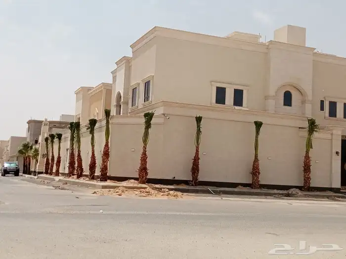 واشنطني ثيل اشجار زينه 1