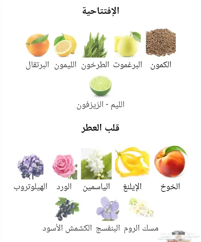 روجا دياجلف الاصدار الروسي 6
