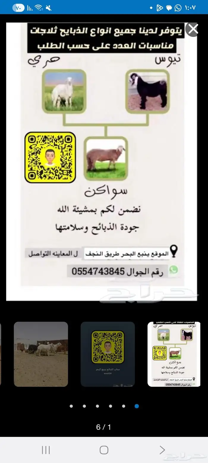 ذبايح ثلاجات وضيوف شامل تقطيع وتوصيل 7