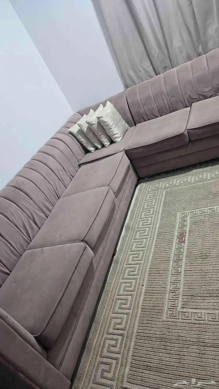 ركنتين للبيع 0