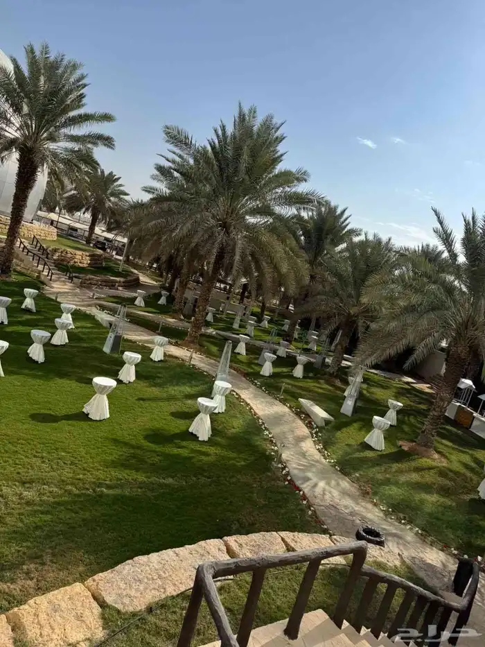 تاجير طاولا وكراسي 22