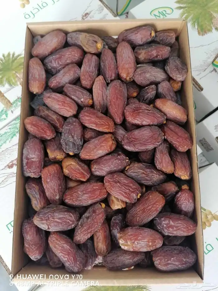 تمور فاخره صقعي ومجدول 1