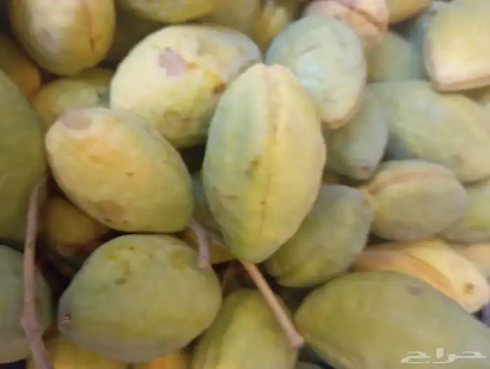 لوز احمر 0