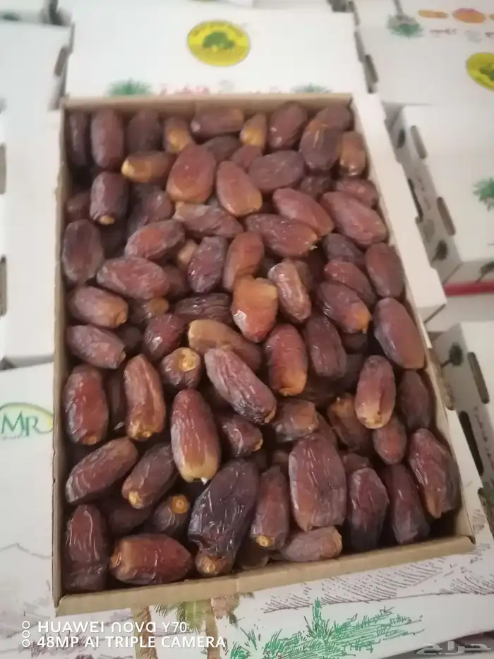 تمور فاخره صقعي ومجدول 5