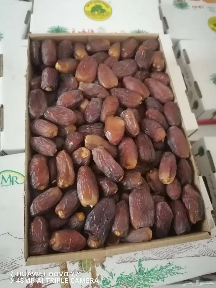 تمور فاخره صقعي ومجدول 6