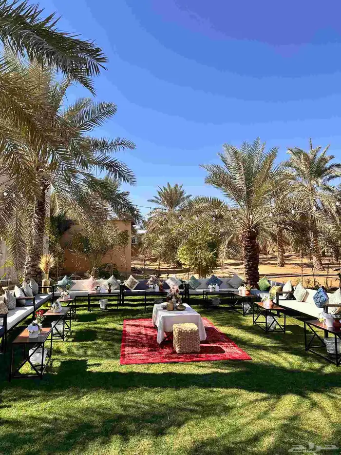 للحفلات والمناسبات قهوجينن وصبابين كراسي بنوعها اطولات بأنوا 1