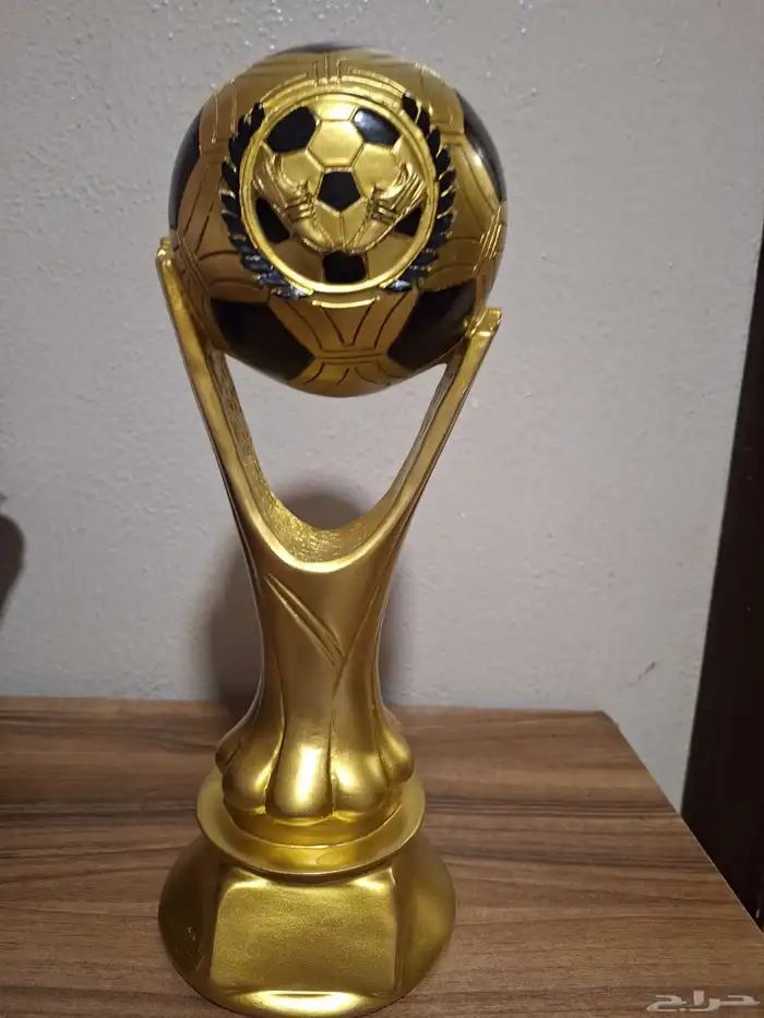 كأس العالم علي السوم 0