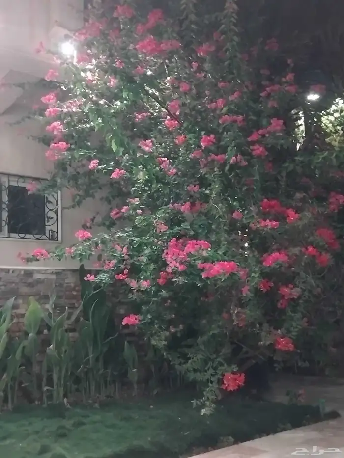 مشتل تنسيق الحديقه 8