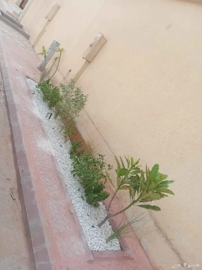 مشتل زراعي 9