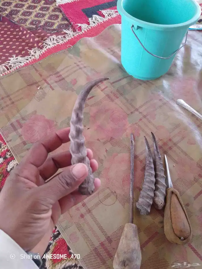للبيع العرض 4