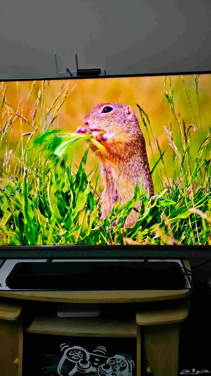 للبيع شاشه TCL C825 مقاس 55 2