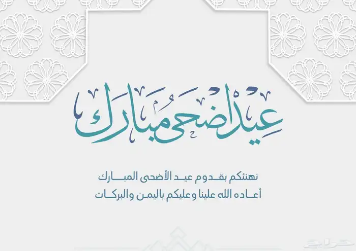 مصمم جرافيك 11