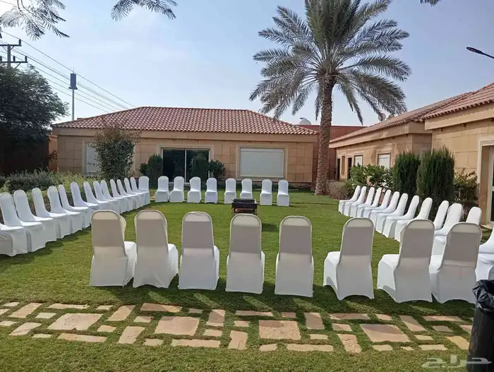 تاجير طاولا وكراسي 19