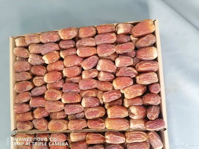 تمور فاخره صقعي ومجدول 4
