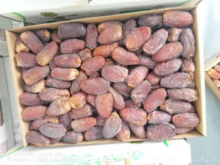 تمور فاخره صقعي ومجدول 2
