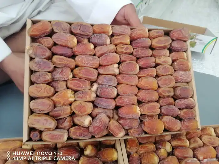 تمور فاخره صقعي ومجدول 7