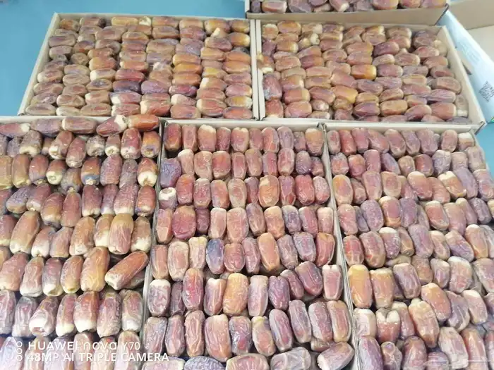 تمور فاخره صقعي ومجدول 0