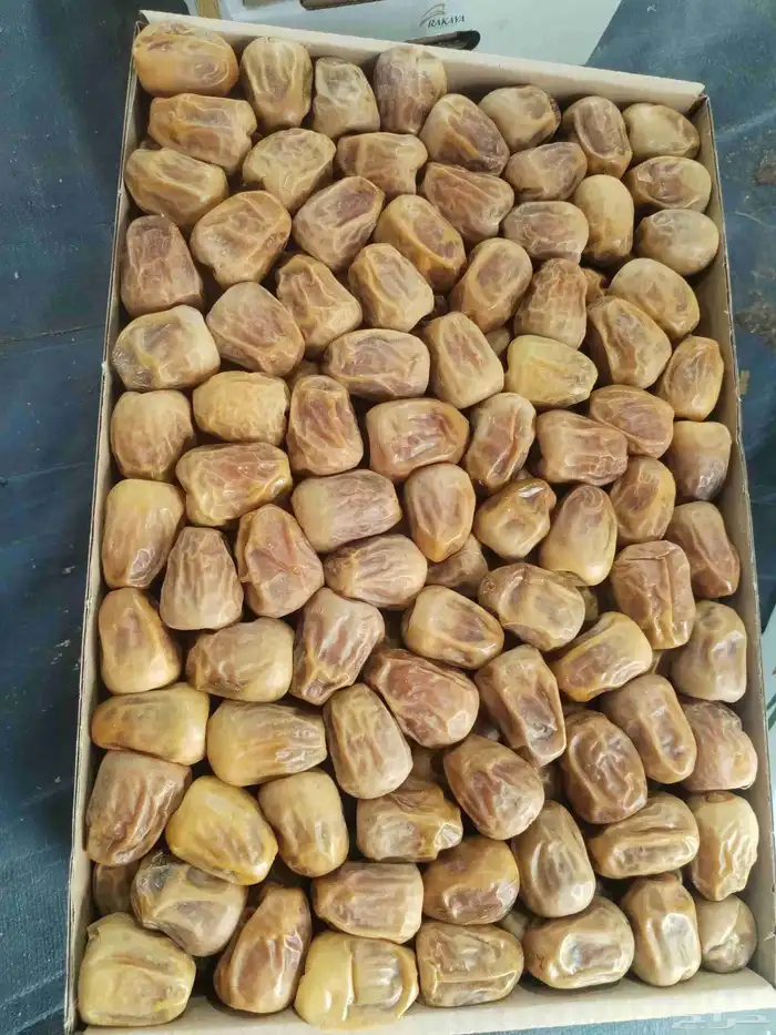 رطب سكري 3