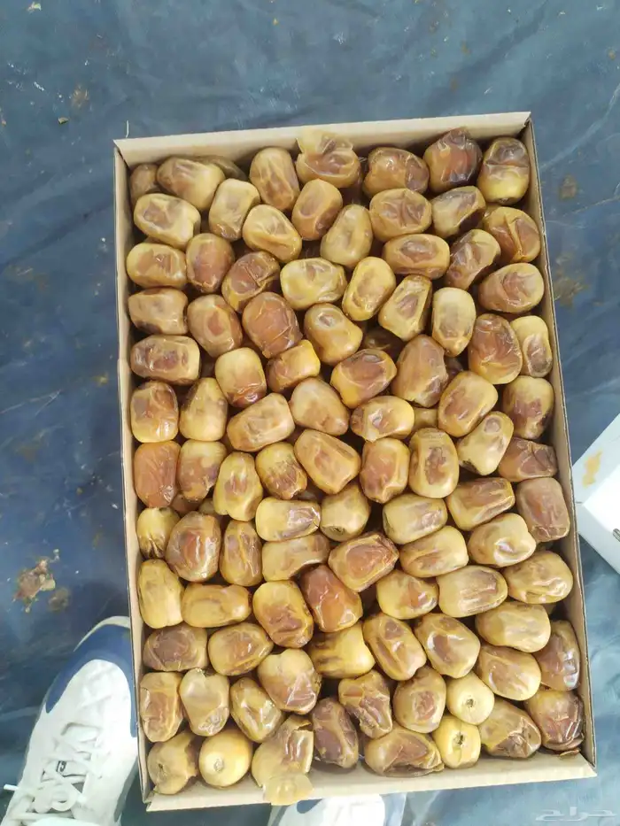 رطب سكري 0