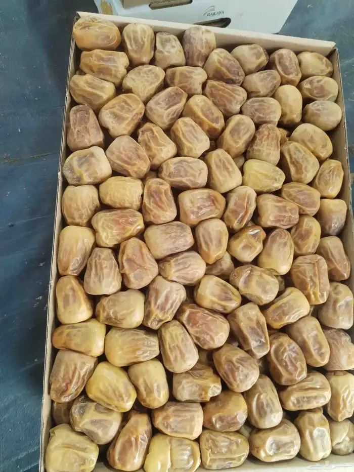 رطب سكري 2
