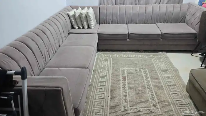 ركنتين للبيع 1