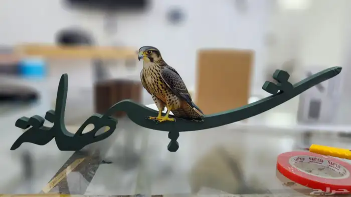 اسماء ثري دي 0