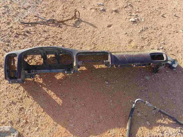قشرة طبلون ددسن 0
