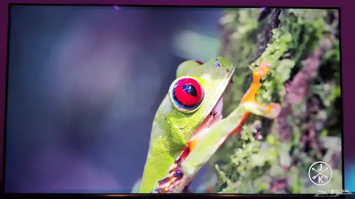 شاشة Skyworth 65 بوصة 4K 120Hz للبيع 2