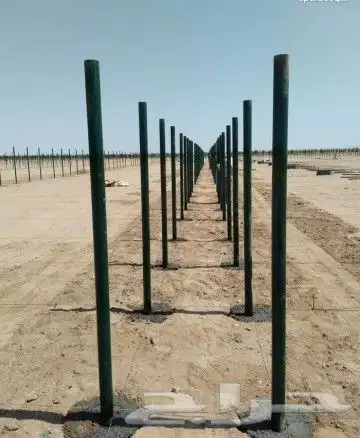 تركيب شبوك 0