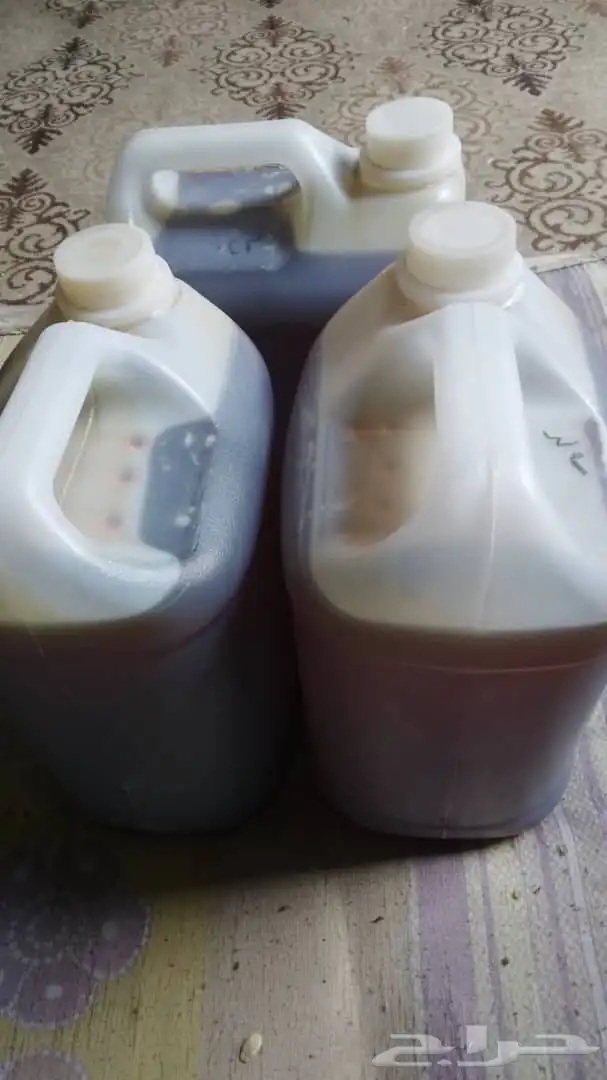 عسل سدر من حضرموت طعم ولون وخصائص 0