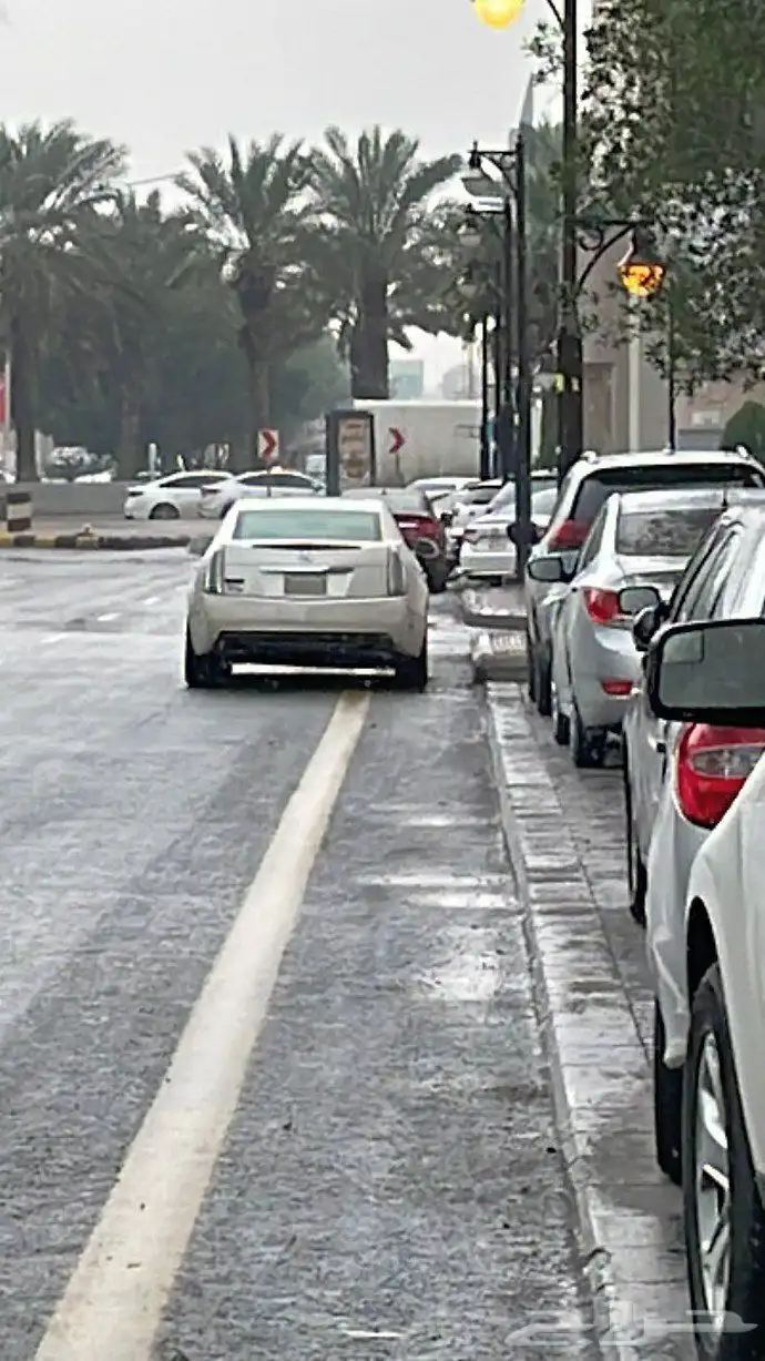 كدلك cts 2010 كاديلاك Cadillac 12