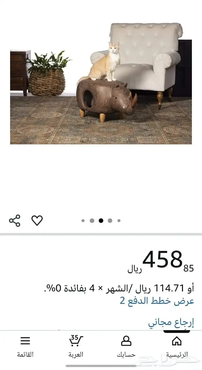 بيت قطط او كلام وحيد القرن 3