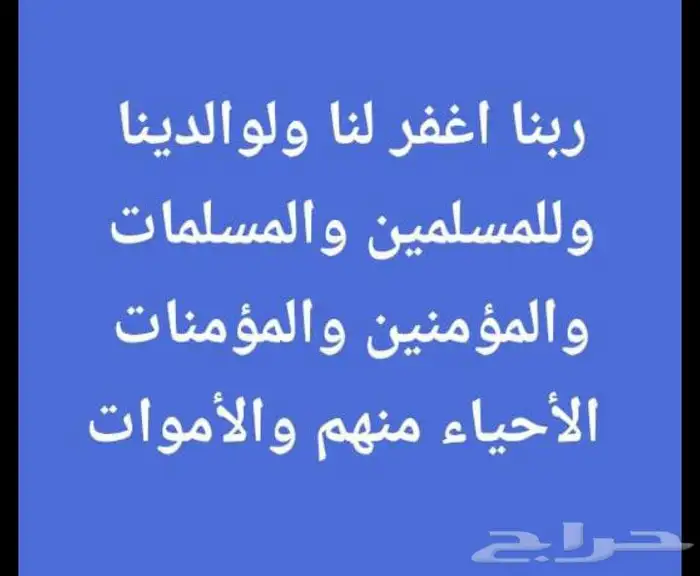 زاجل سباق موجود جوزين منتجة ابطال الابطال مجرب عيالهم الى250 9