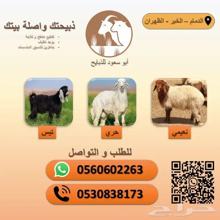 ذبيح حري 1
