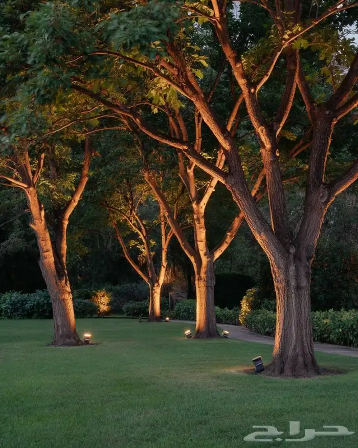 متخصصون في جميع انواع اضاءة داخلية وخارجية ضمن مواصفات عالية 0